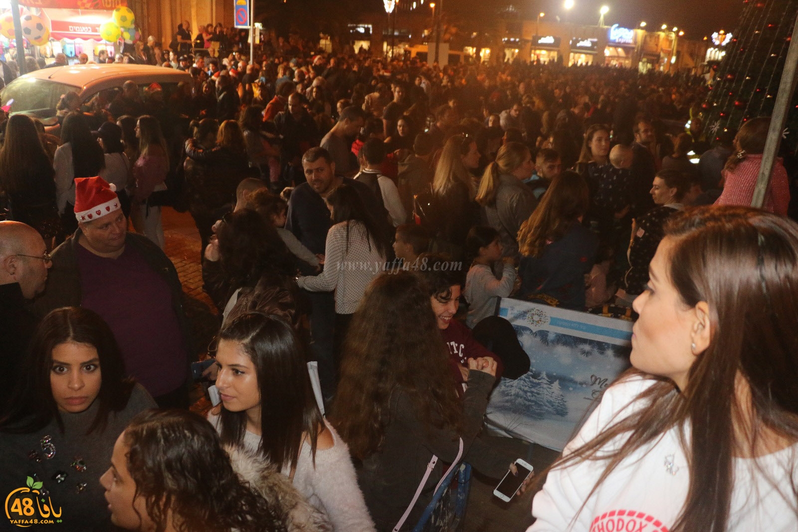 tree yaffa 5th (49).jpg